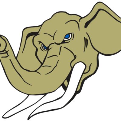 AR ELEPH 17 RC Thumbnail